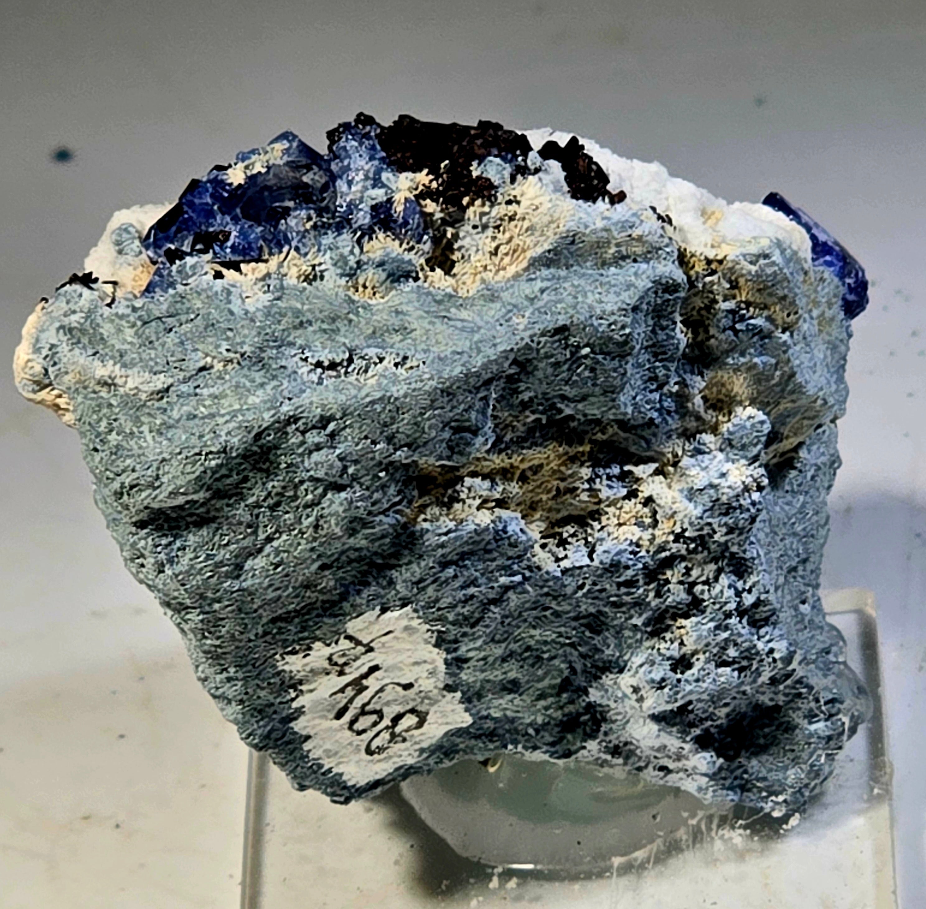 BENITOITE with NEPTUNITE, JOAQUINTE on NATROLITE and SERPENTINE