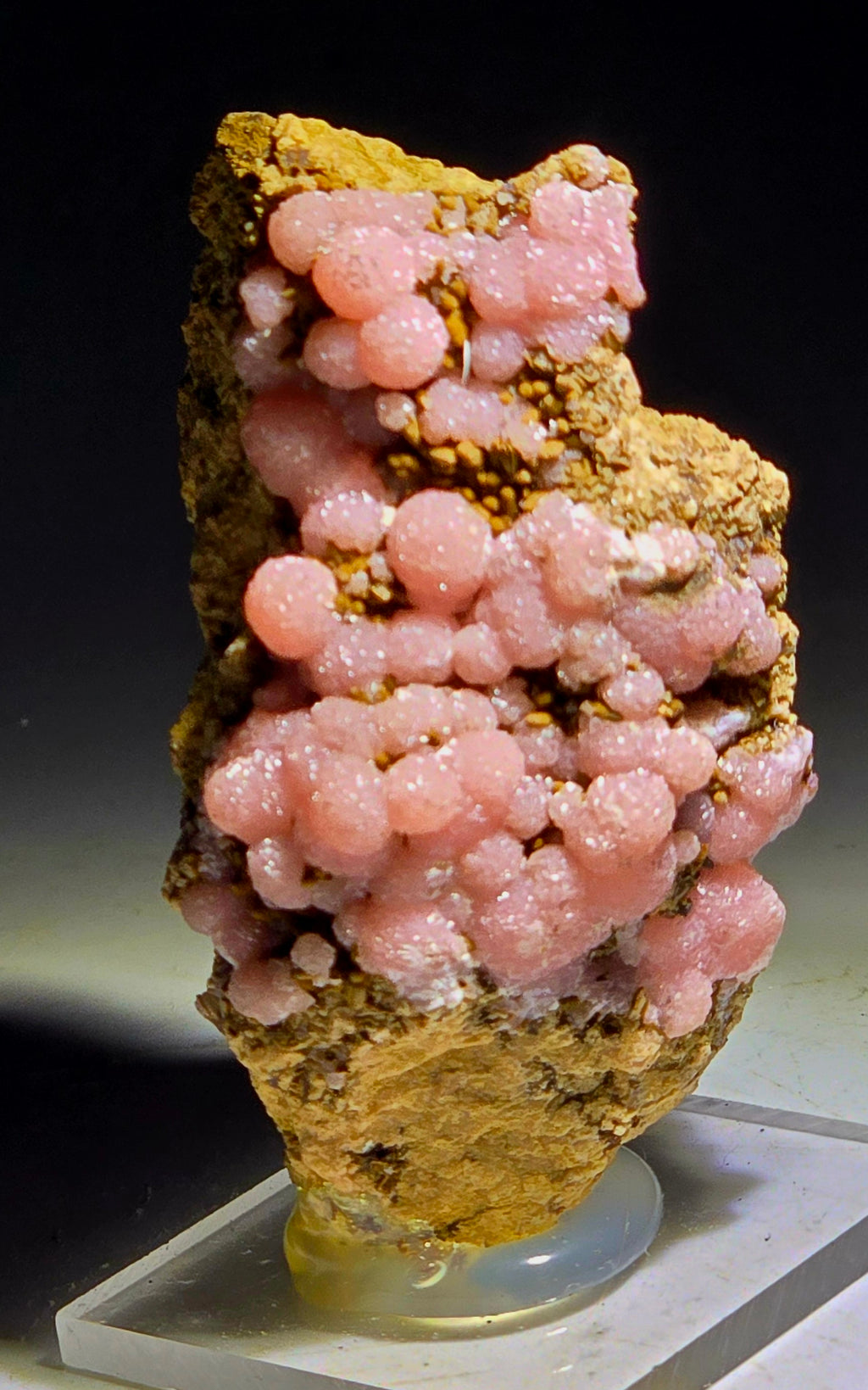 SMITHSONITE PINK (COBALTOAN) with CORONADITE (miniature)