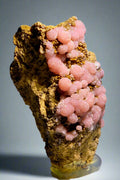 SMITHSONITE ROSE (COBALTOAN) AVEC CORONADITE, MINE NEW NEVADA, DISTRICT DE BATOPILAS, CHIHUAHUA, MEXIQUE (miniature)