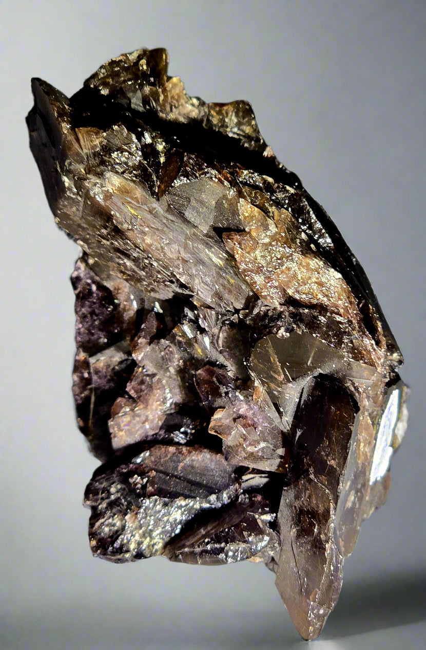 AXINITE (-Mg) - MAGNESIOAXINITE (cabinet)