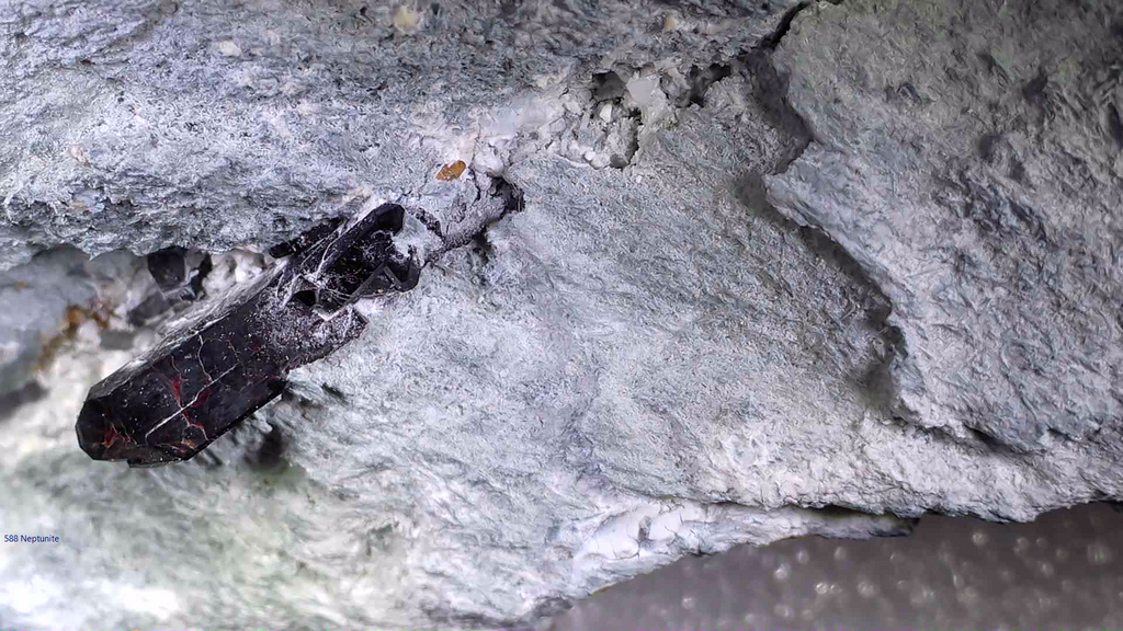 NEPTUNITE, JOAQUINITE, JONESITE (?) ON NATROLITE with SERPENTINE (small cabinet)
