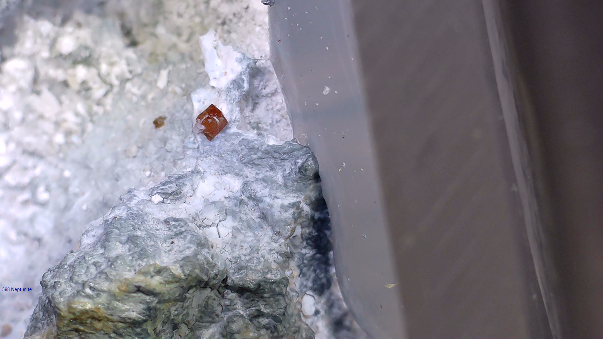 NEPTUNITE, JOAQUINITE, JONESITE (?) ON NATROLITE with SERPENTINE (small cabinet)