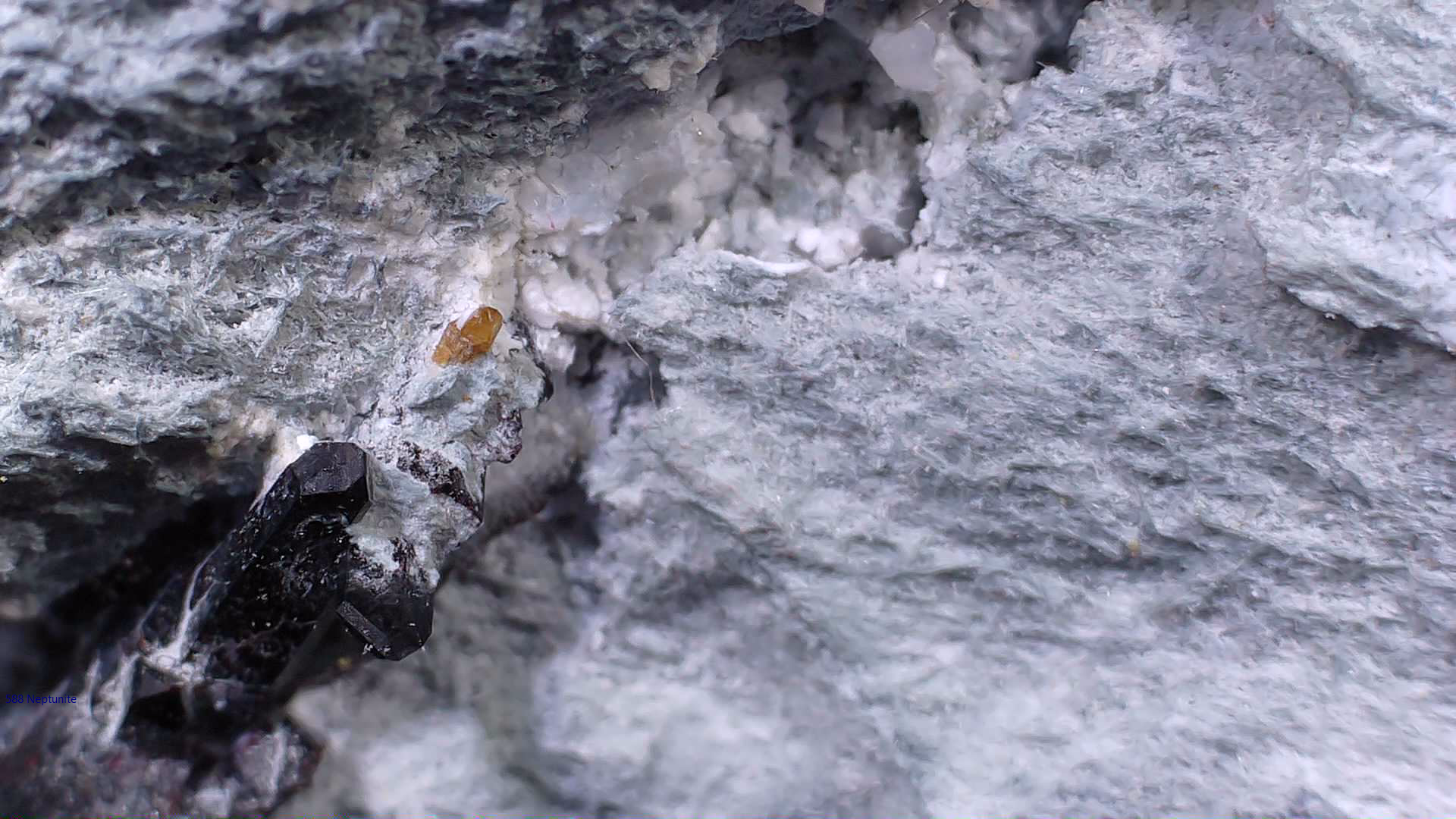 NEPTUNITE, JOAQUINITE, JONESITE (?) ON NATROLITE with SERPENTINE (small cabinet)