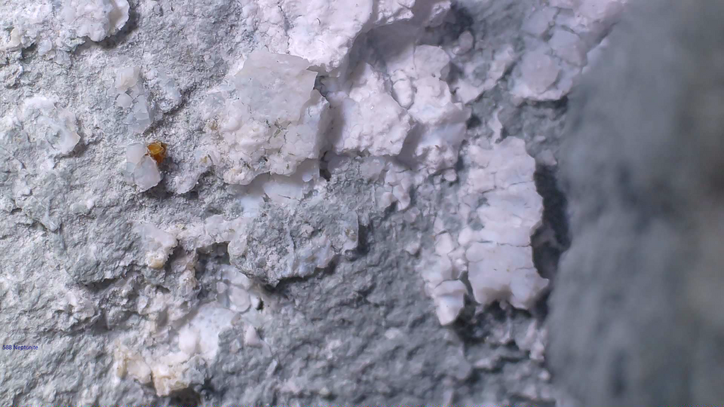 NEPTUNITE, JOAQUINITE, JONESITE (?) ON NATROLITE with SERPENTINE (small cabinet)
