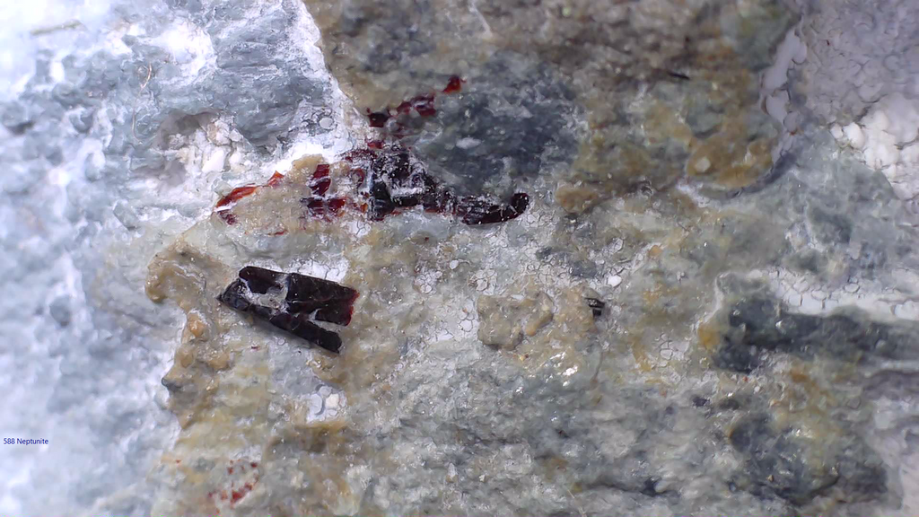 NEPTUNITE, JOAQUINITE, JONESITE (?) ON NATROLITE with SERPENTINE (small cabinet)