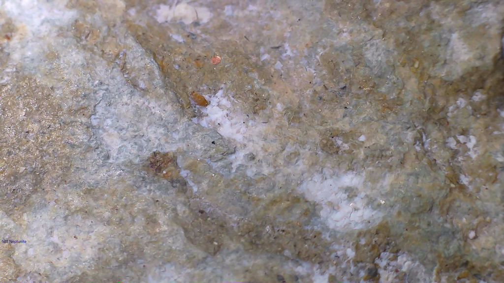 NEPTUNITE, JOAQUINITE, JONESITE (?) ON NATROLITE with SERPENTINE (small cabinet)