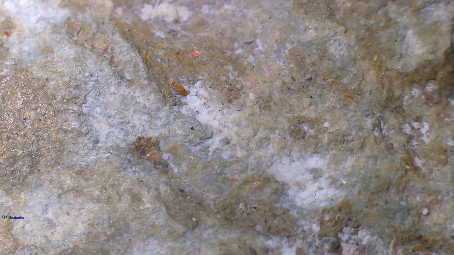 NEPTUNITE, JOAQUINITE, JONESITE (?) ON NATROLITE with SERPENTINE (small cabinet)