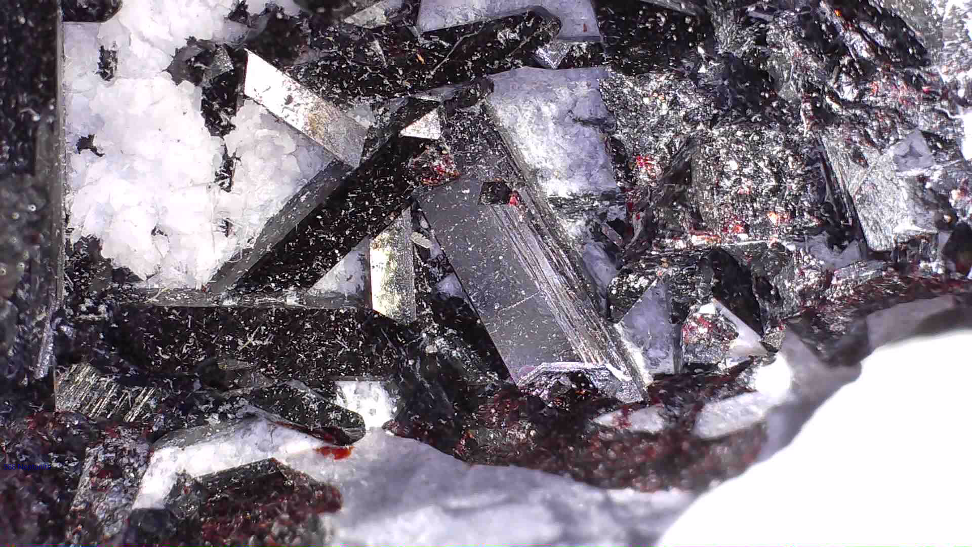 NEPTUNITE (miniature)