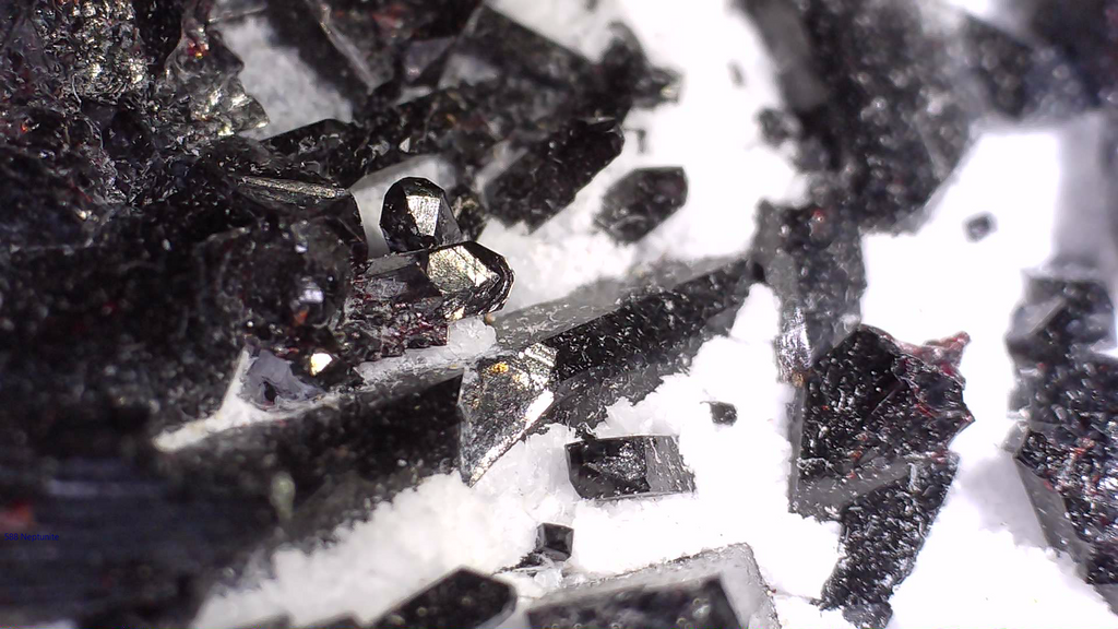 NEPTUNITE (miniature)