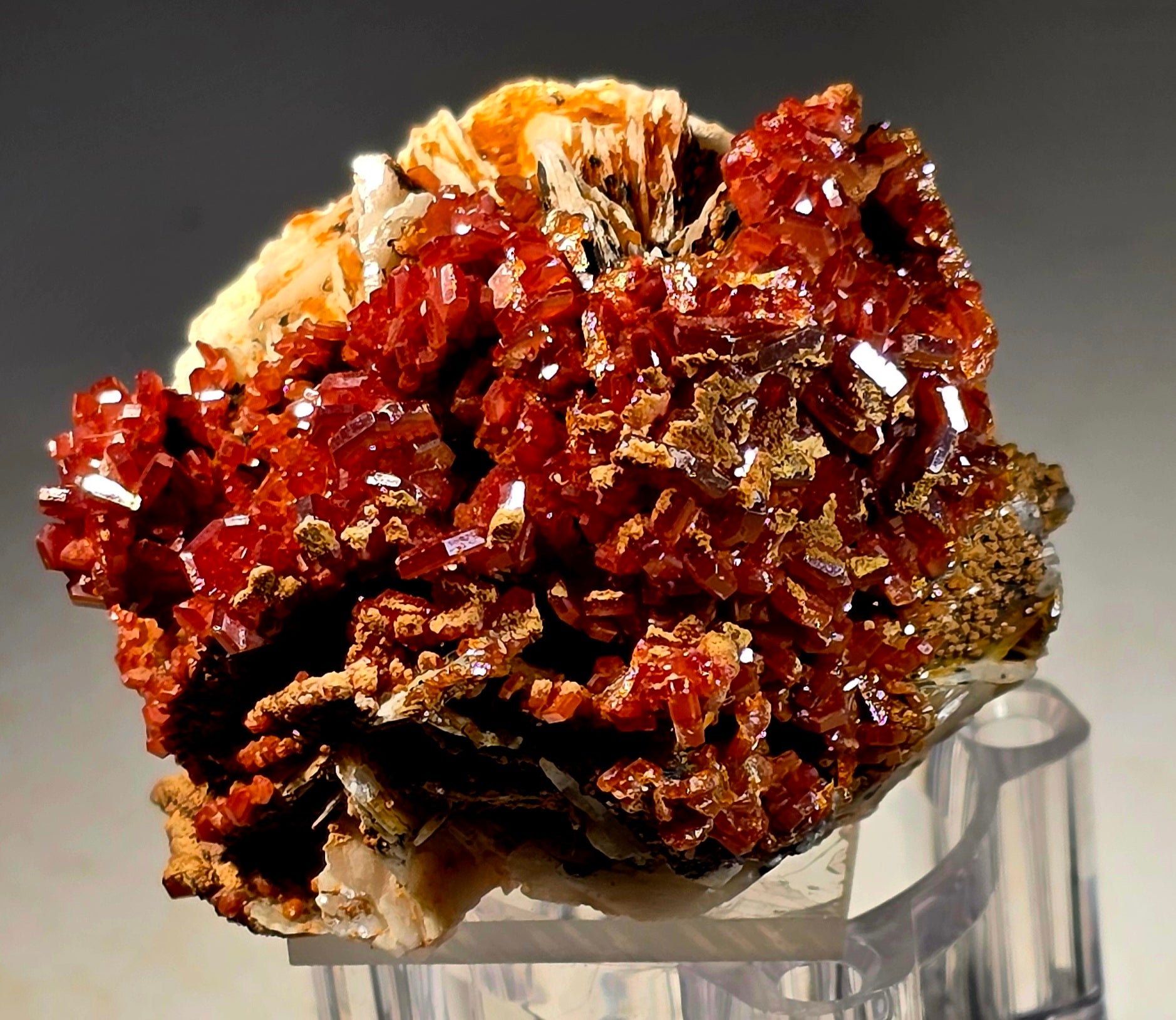 VANADINITE (small cabinet)