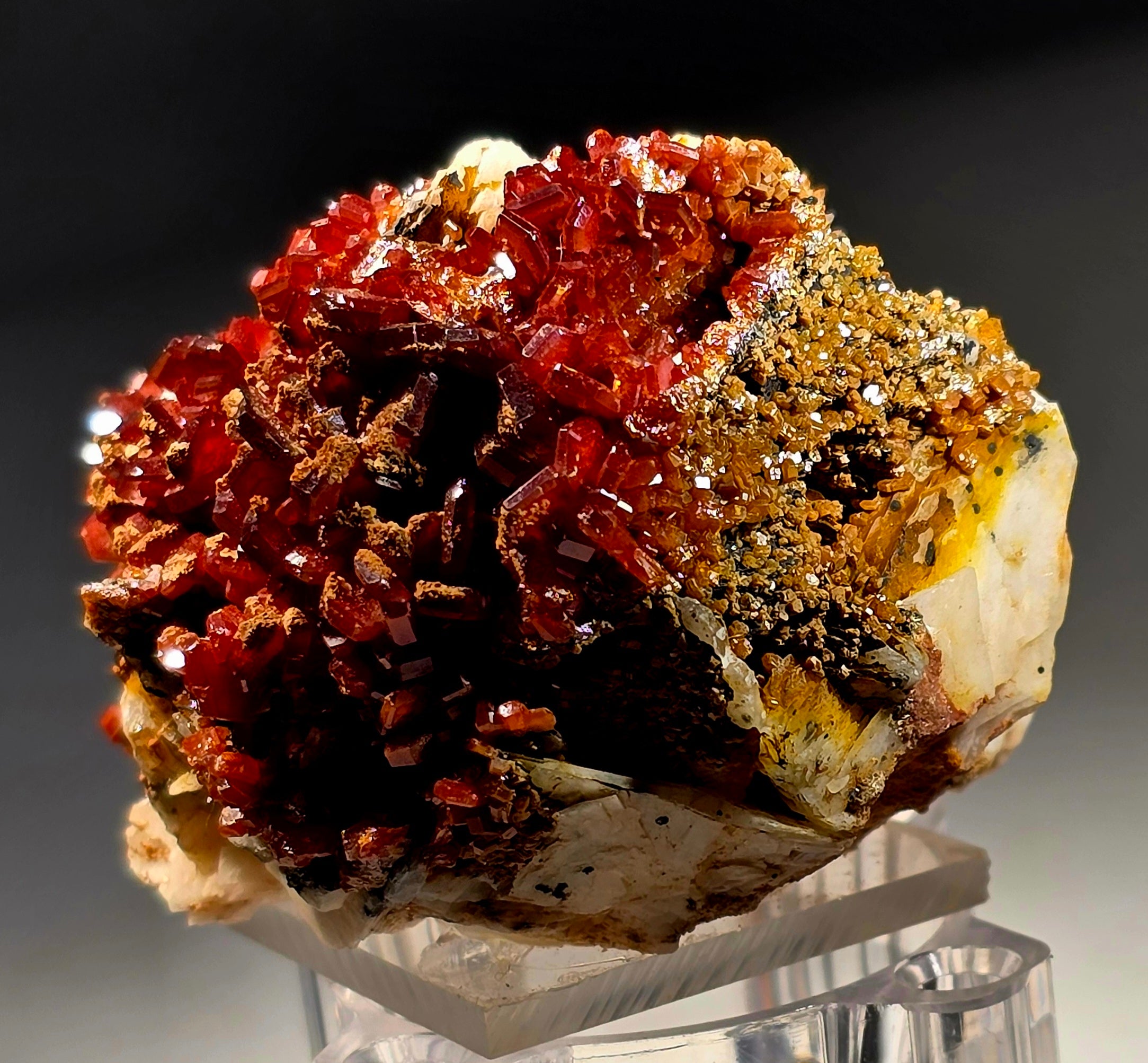 VANADINITE (small cabinet)