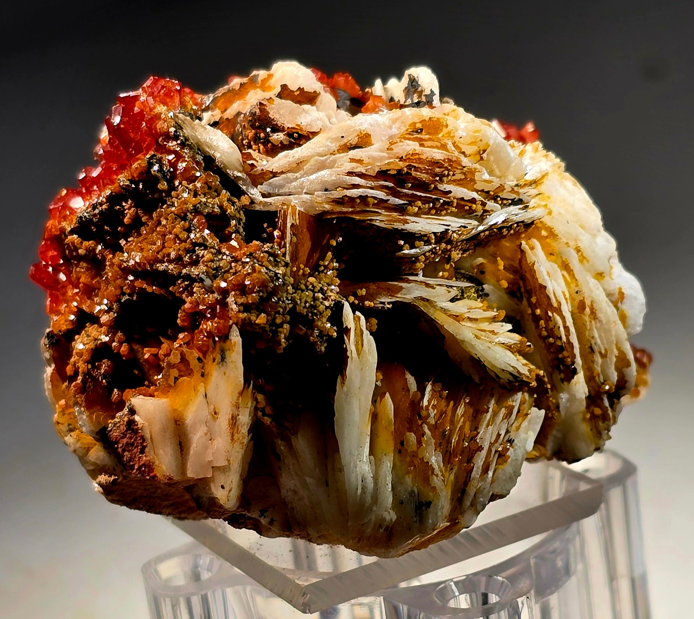 VANADINITE (small cabinet)