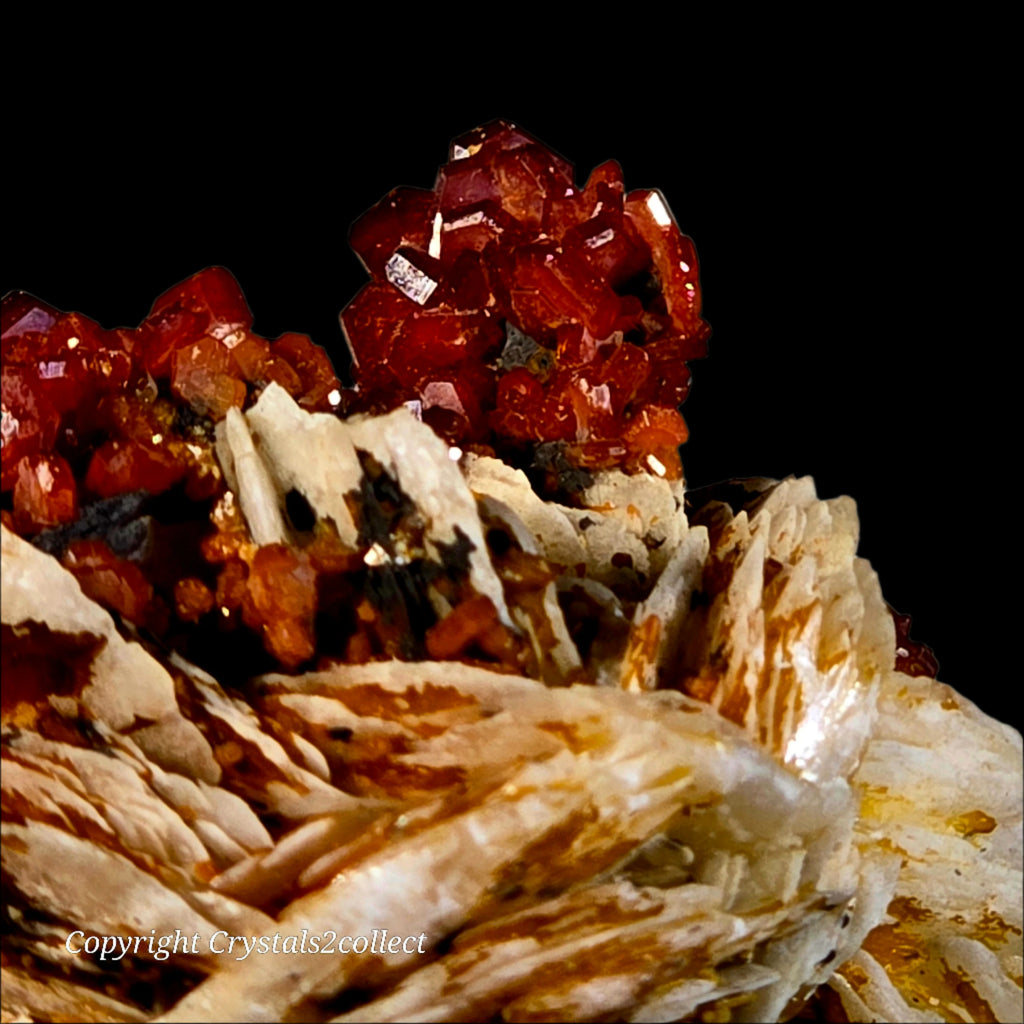 VANADINITE (small cabinet)