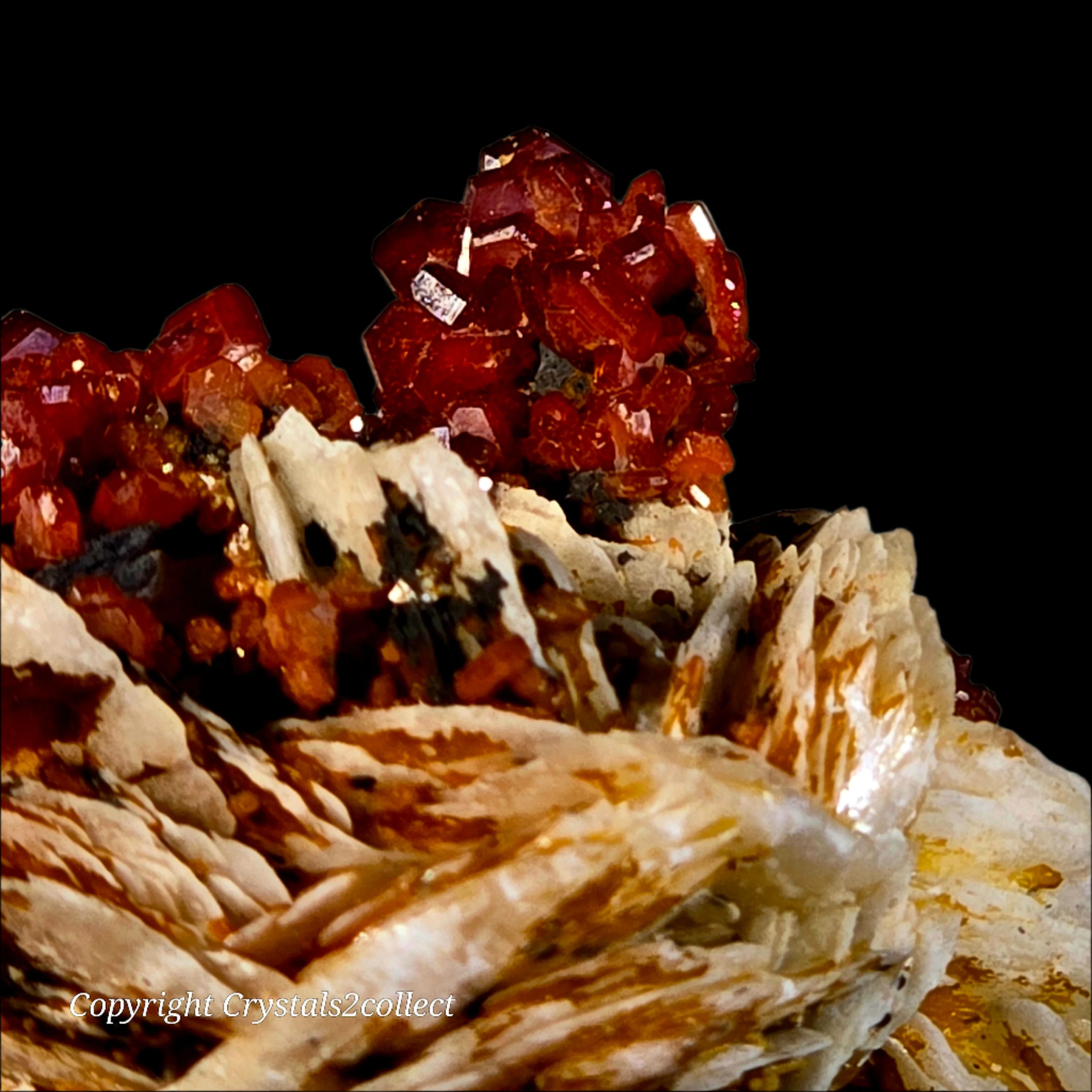 VANADINITE (small cabinet)