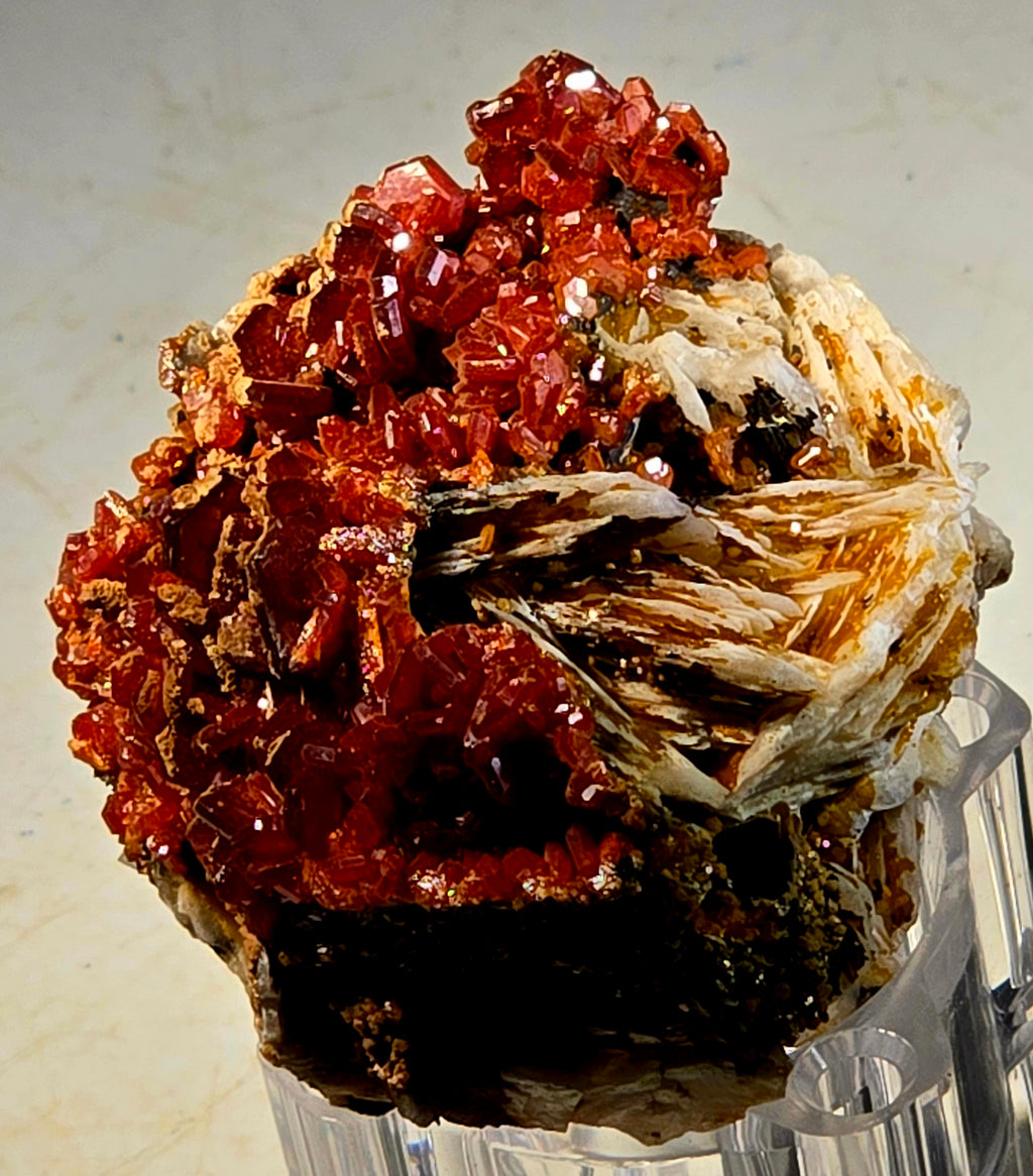 VANADINITE (small cabinet)