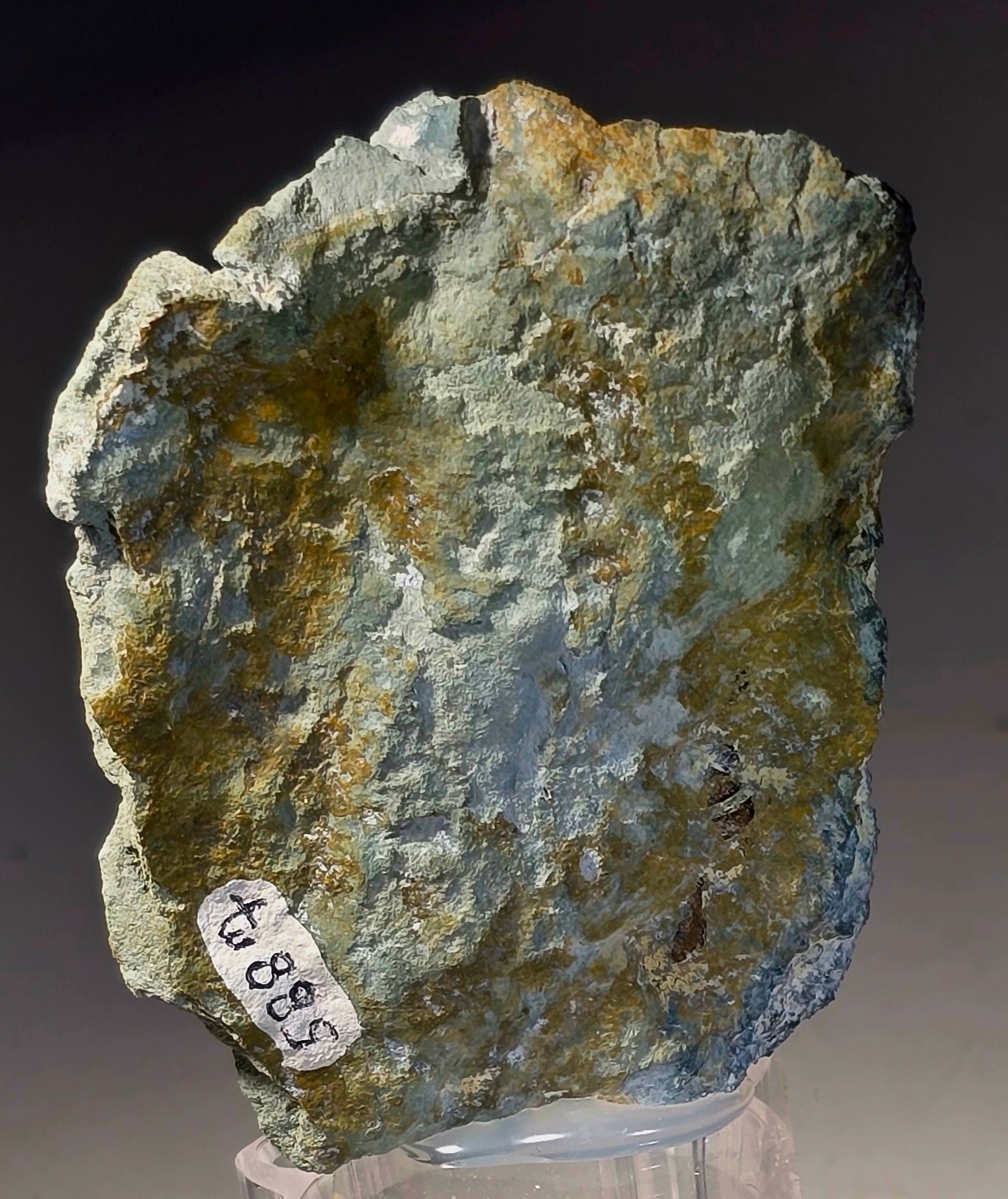 NEPTUNITE, JOAQUINITE, JONESITE (?) ON NATROLITE with SERPENTINE (small cabinet)
