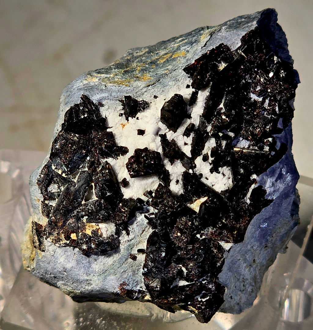 NEPTUNITE (miniature)