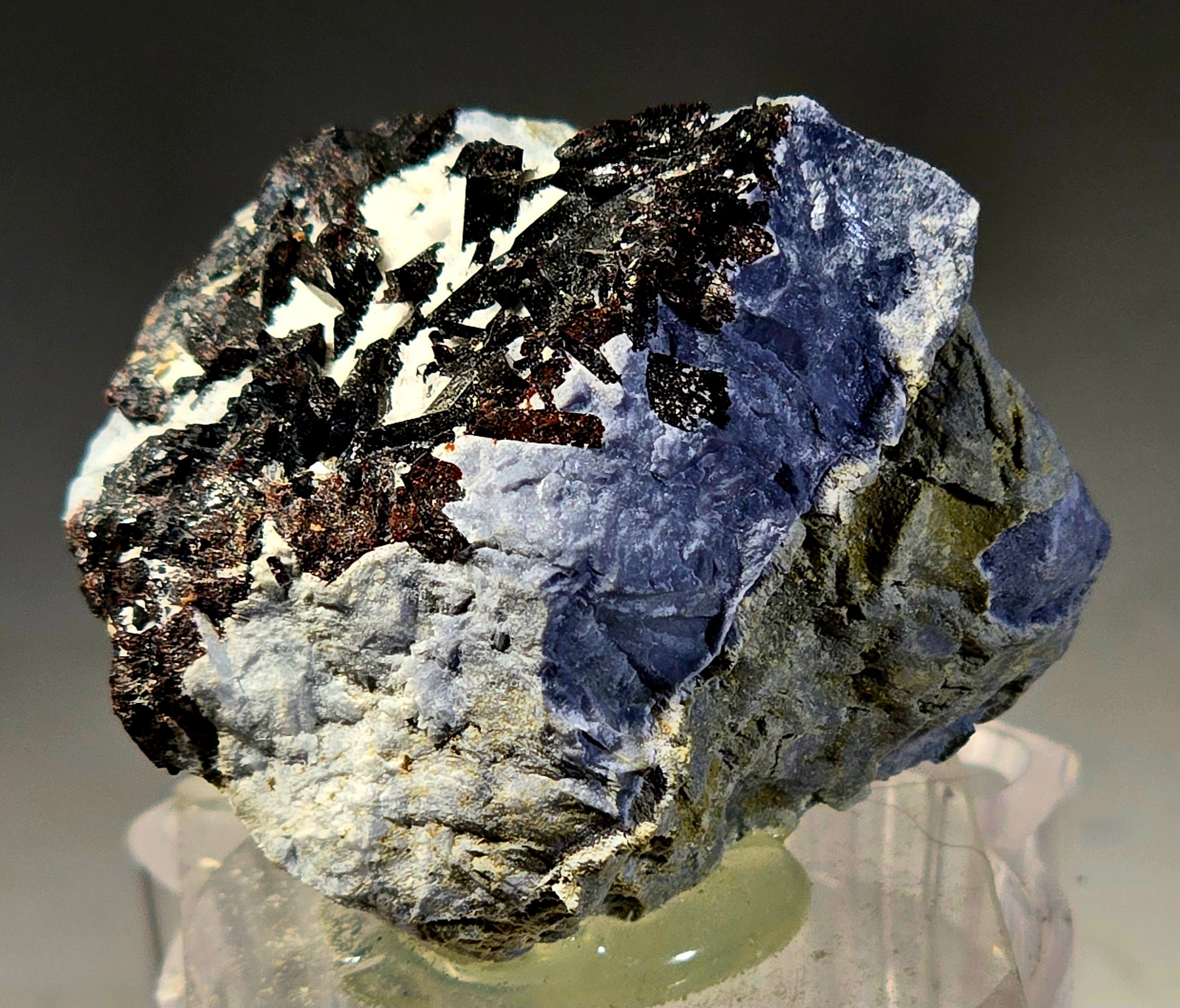 NEPTUNITE (miniature)
