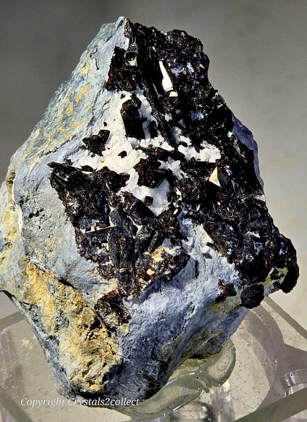 NEPTUNITE (miniature)