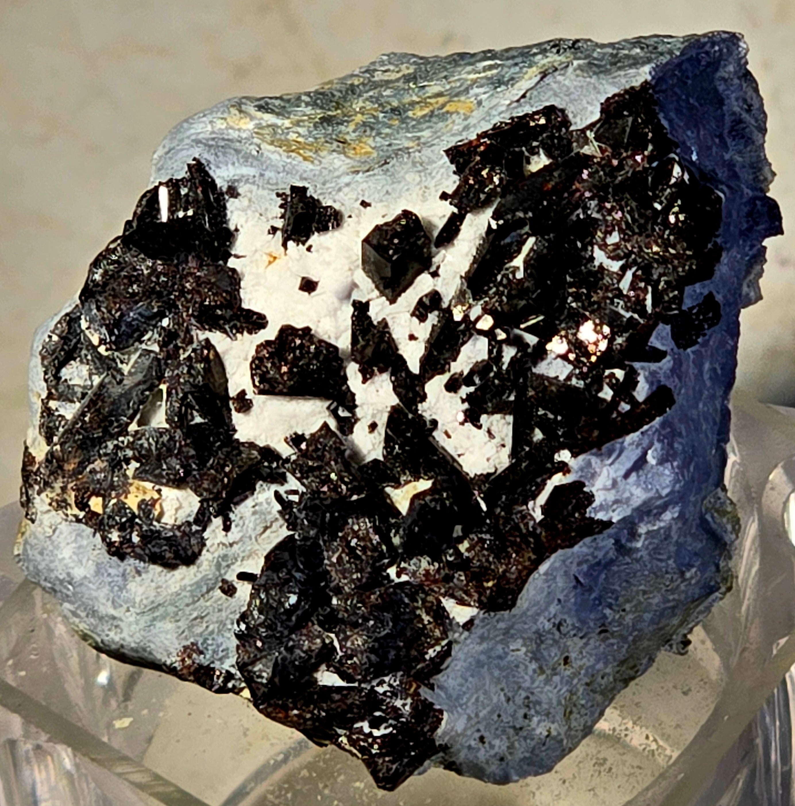 NEPTUNITE (miniature)