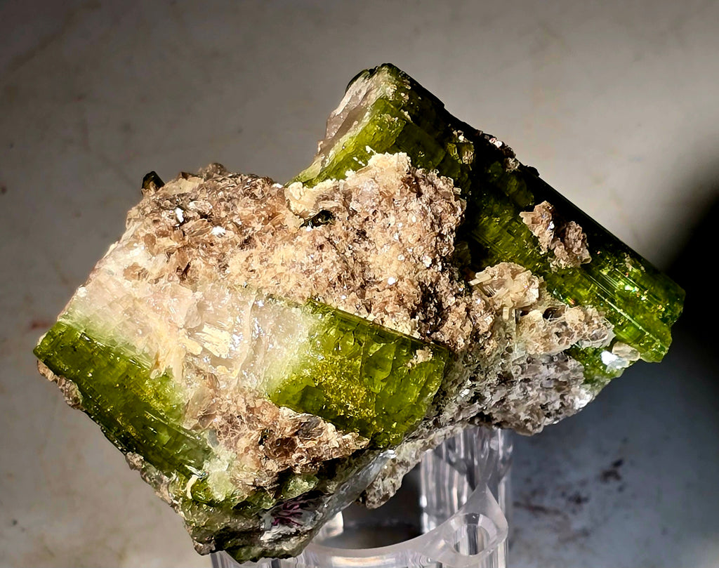 TOURMALINE URUBU MULTIPLE GREEN CRYSTALS (small cabinet)