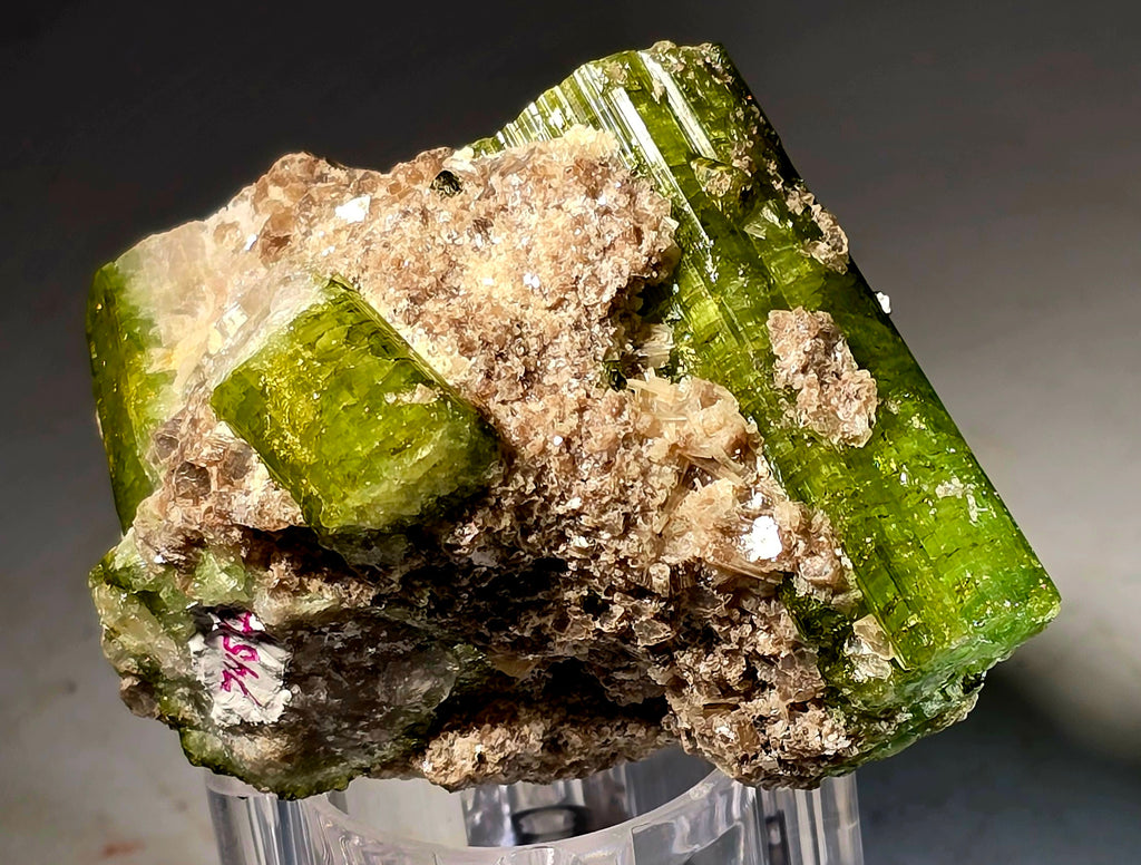 TOURMALINE URUBU MULTIPLE GREEN CRYSTALS (small cabinet)