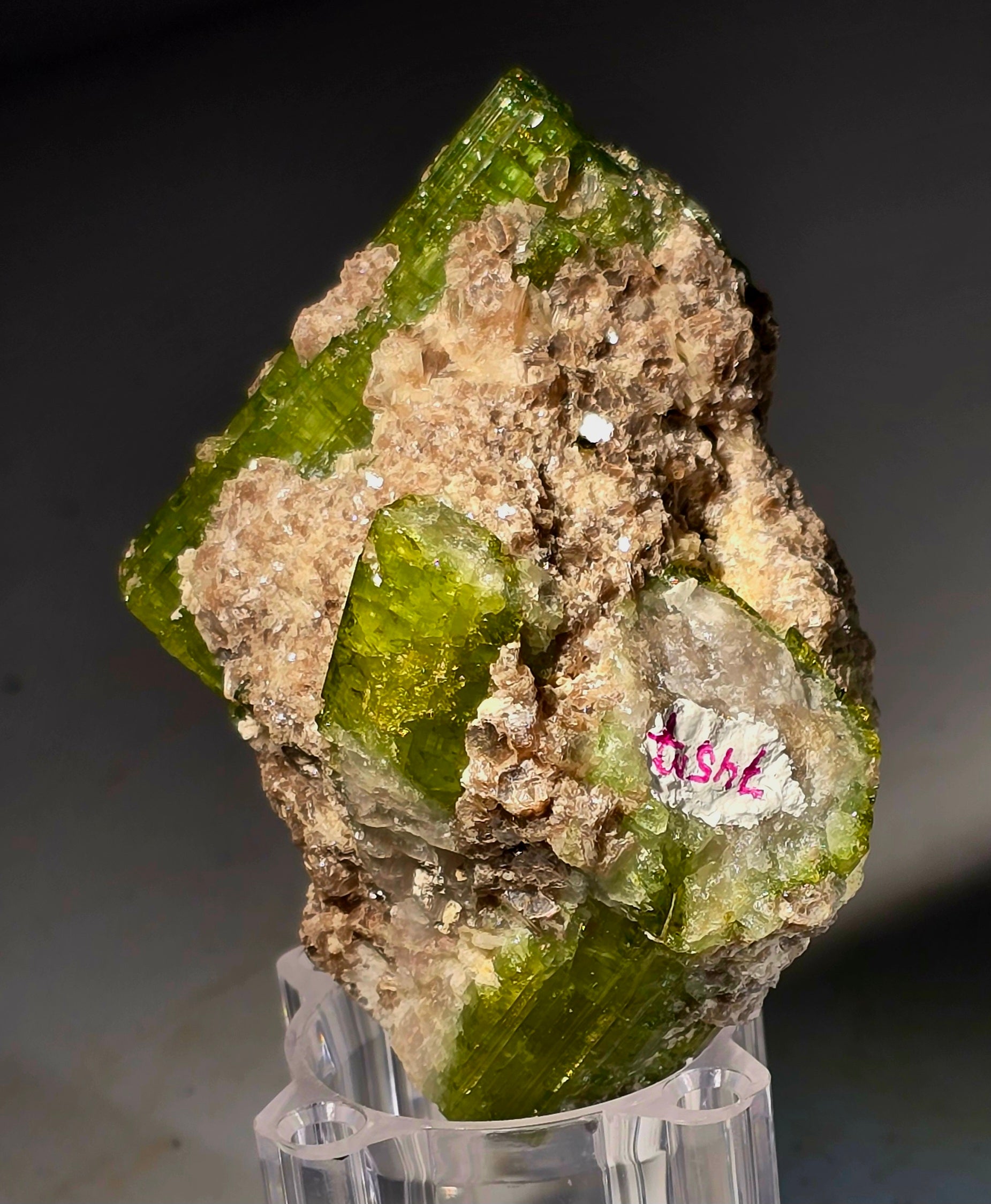 TOURMALINE URUBU MULTIPLE GREEN CRYSTALS (small cabinet)
