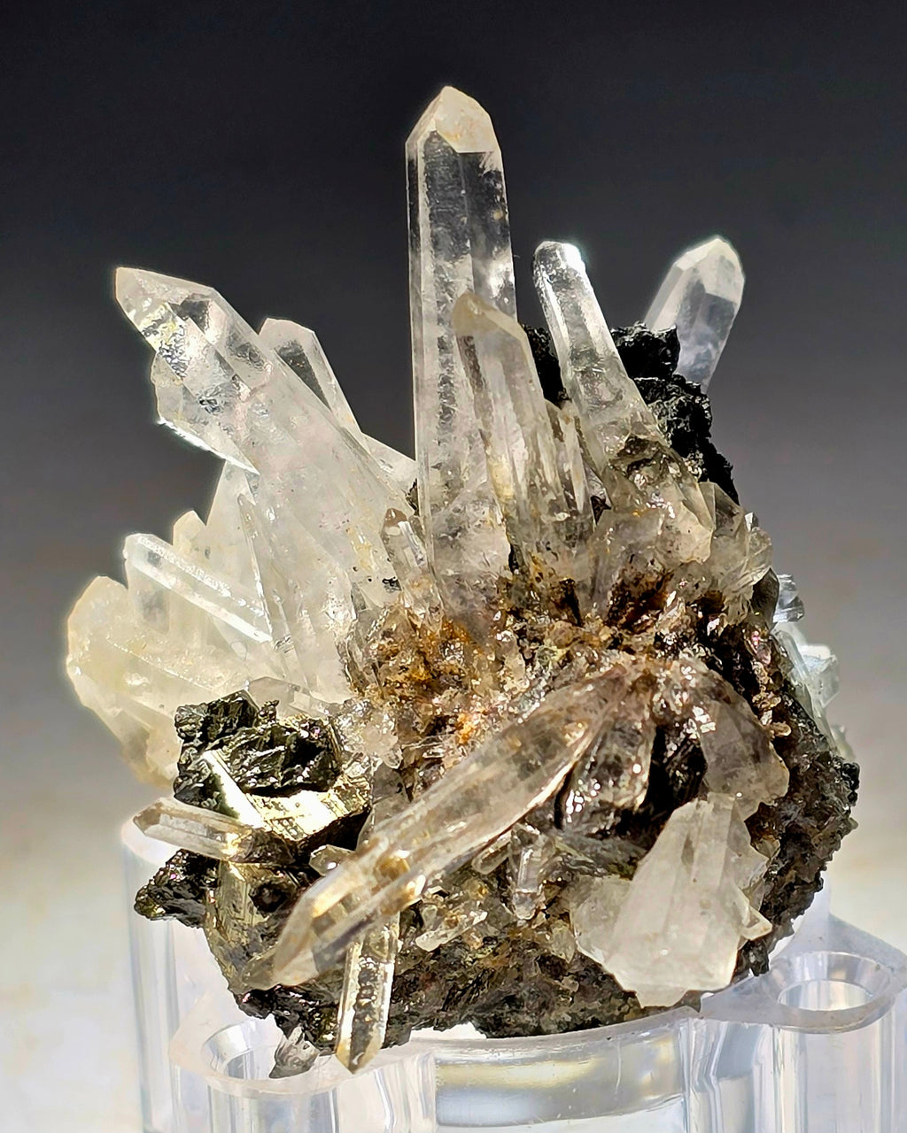 CHALCOPYRITE with QUARTZ  (small cabinet)