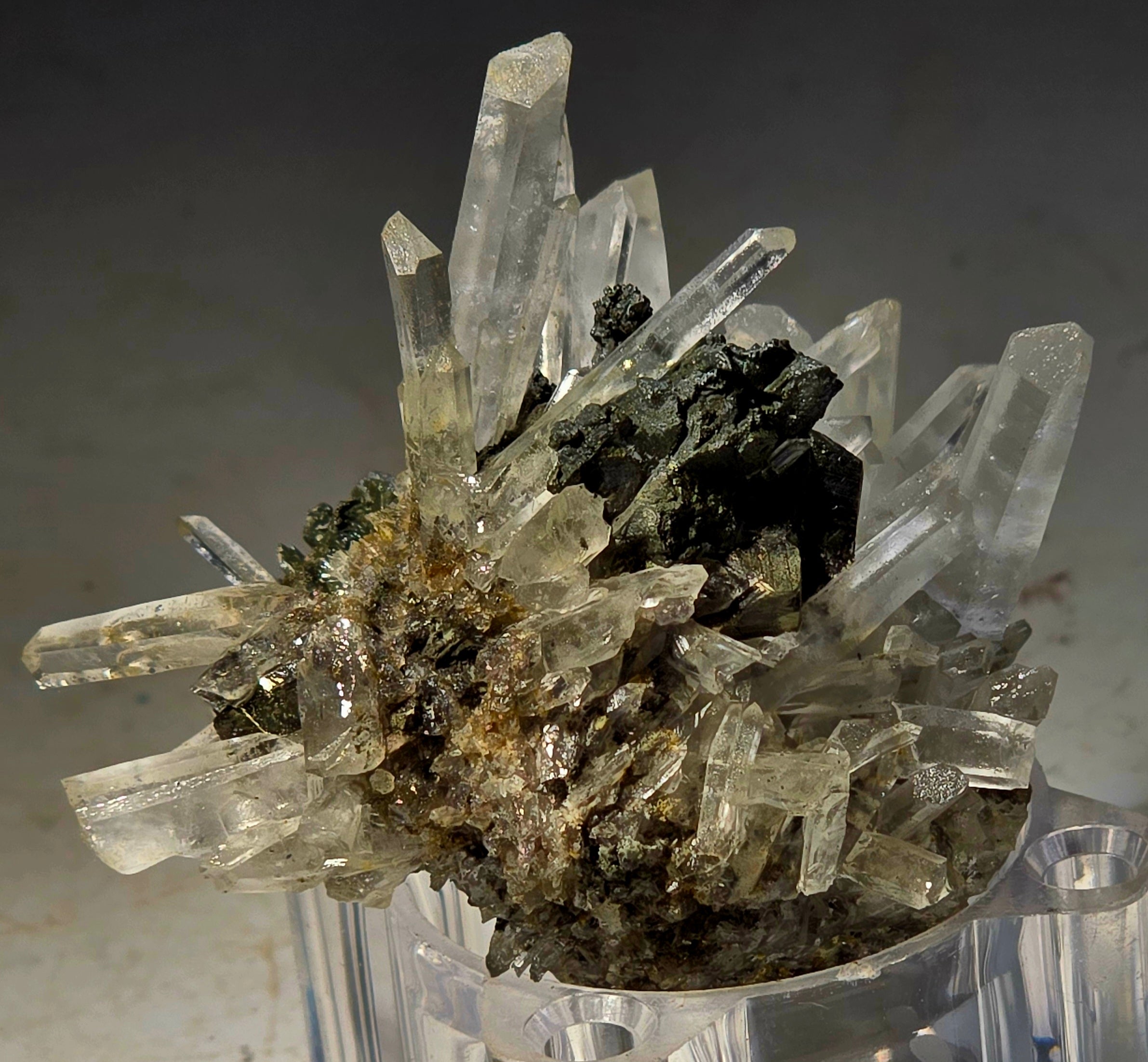 CHALCOPYRITE with QUARTZ  (small cabinet)