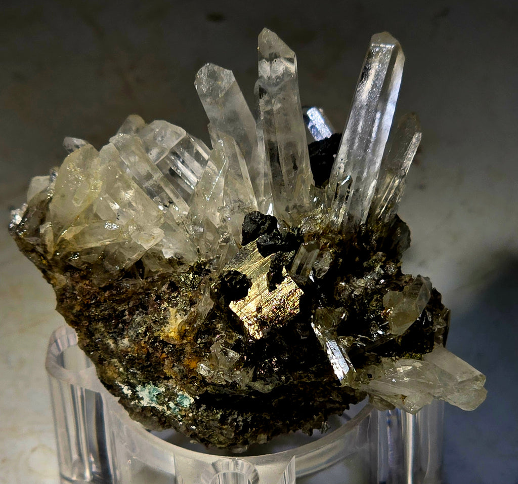 CHALCOPYRITE with QUARTZ  (small cabinet)