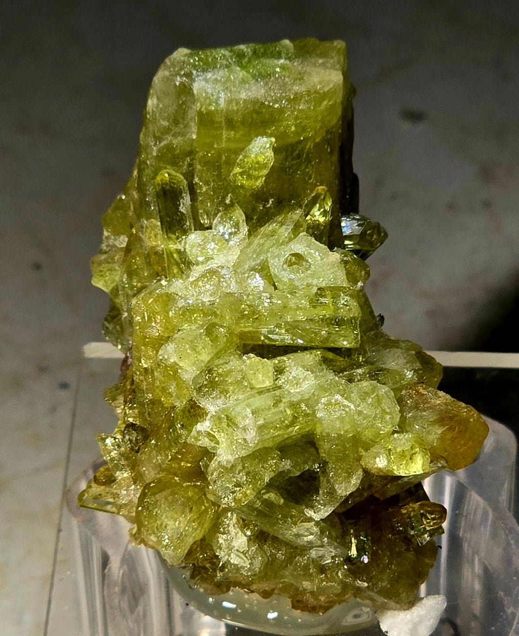 TOURMALINE CLUSTER GREEN (miniature)