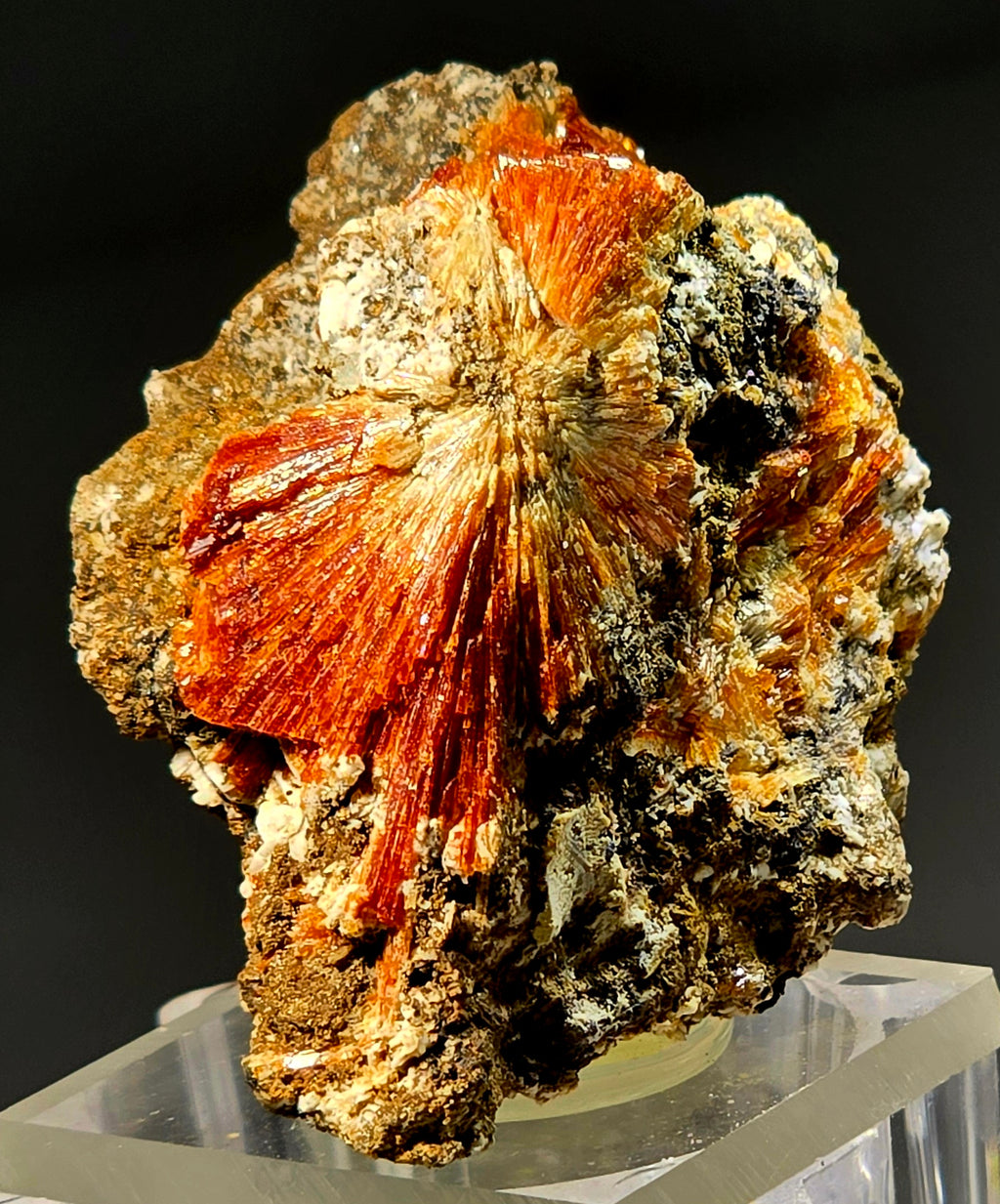 LABUNTSOVITE (ULTRA SCARCE) (miniature)