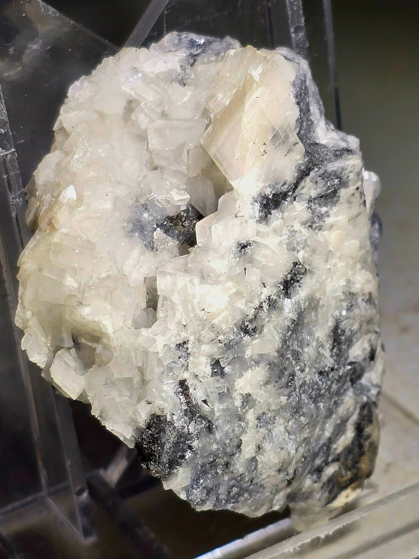 ORTHOCLASE (small cabinet)