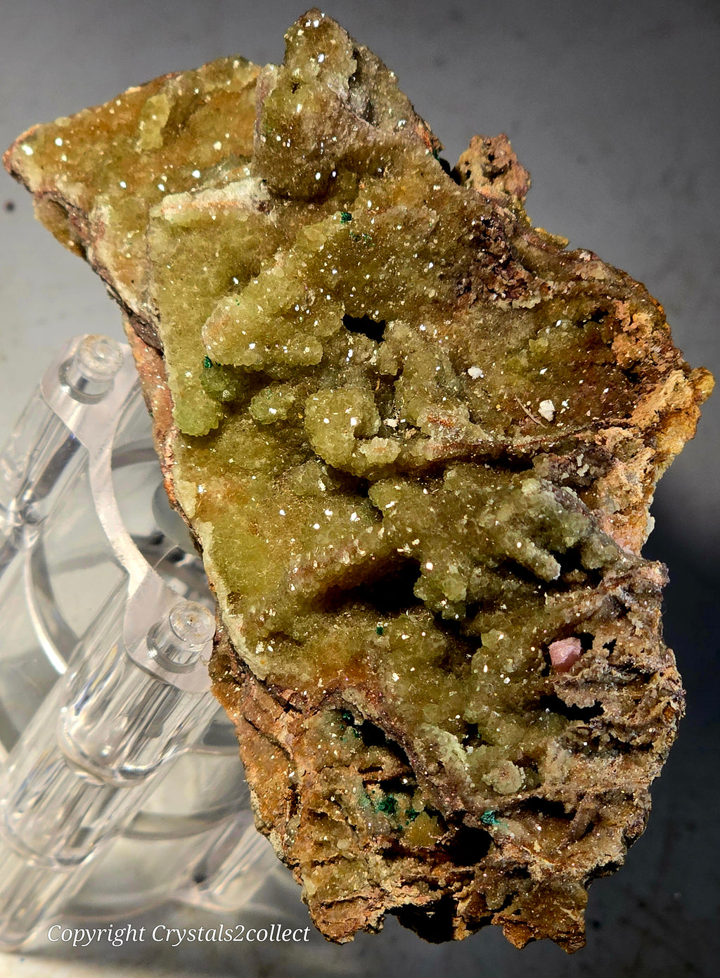 SMITHSONITE (cabinet)