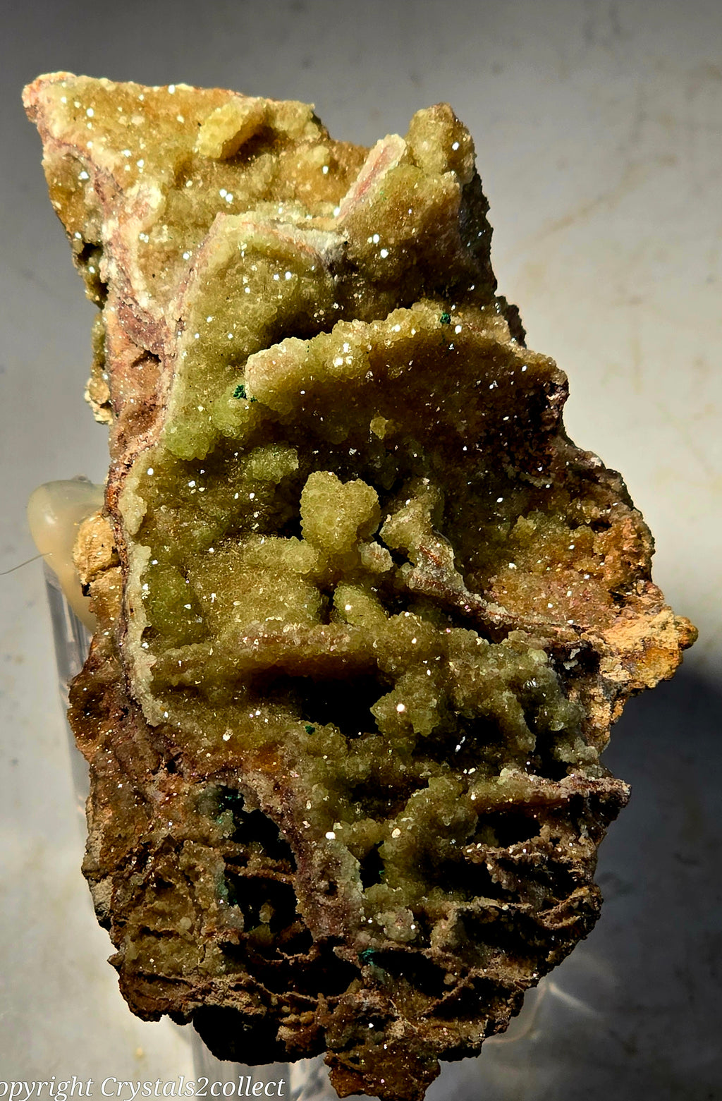 SMITHSONITE (cabinet)