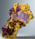 FLUORITE sur DOLOMITE ROSE, COMTÉ DE SMITH, TENNESSEE, ÉTATS-UNIS (petite vitrine)