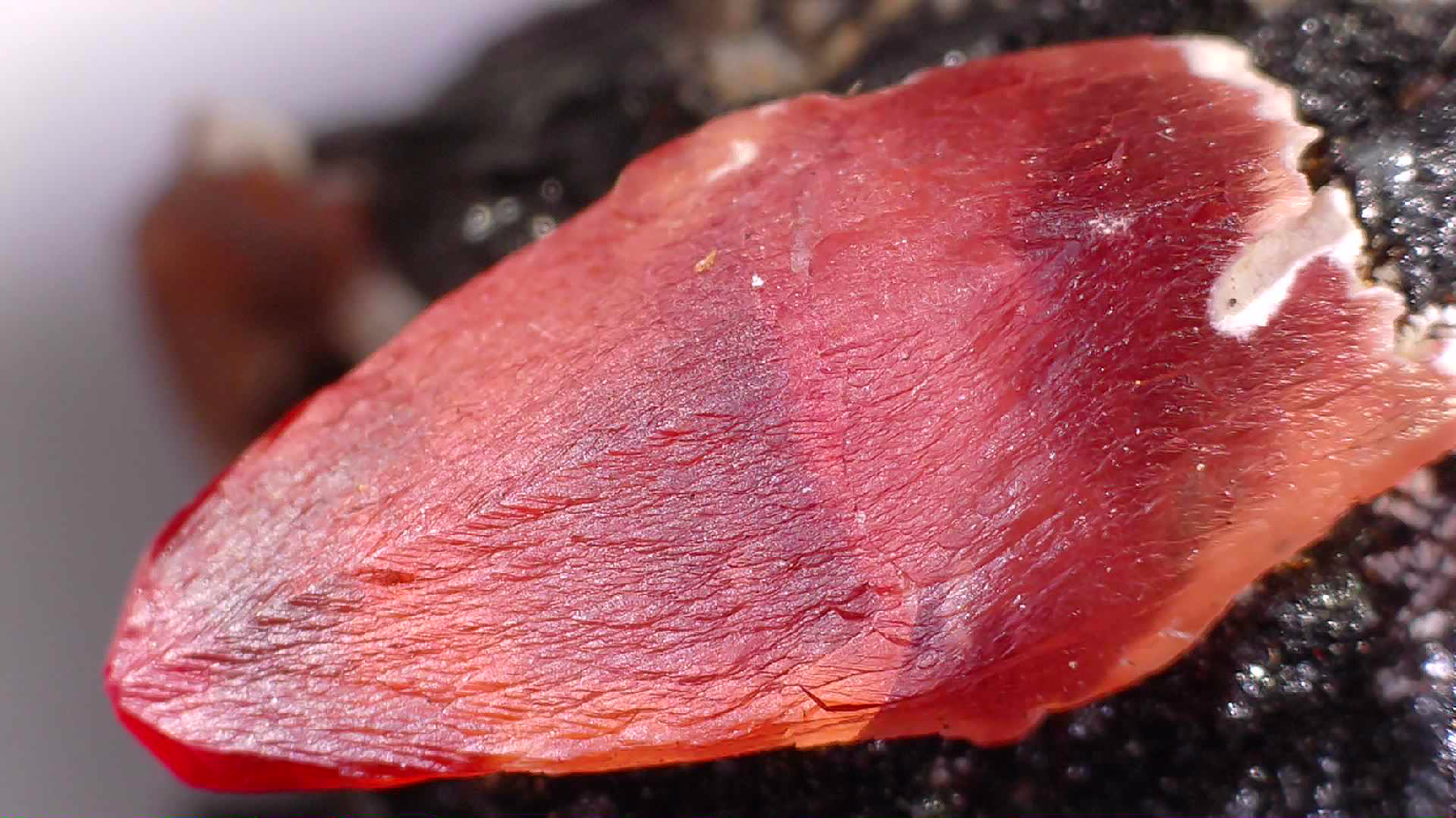 RHODOCHROSITE (miniature)