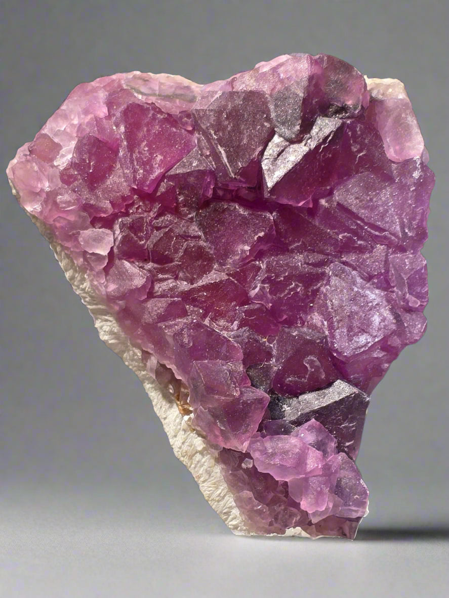 FLUORITE (small cabinet)