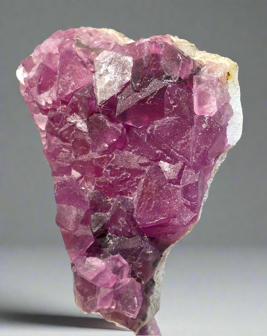 FLUORITE (small cabinet)