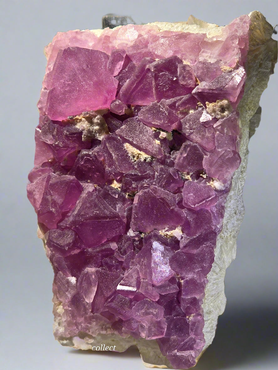 FLUORITE (small cabinet)