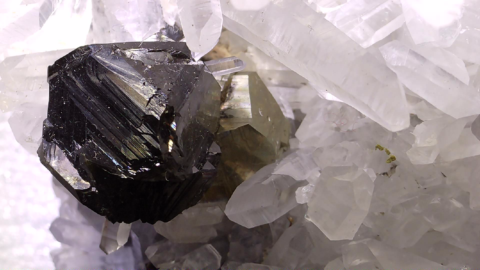 SPHALERITE, CHALCOPYRITE, QUARTZ, MANGANOCALCITE