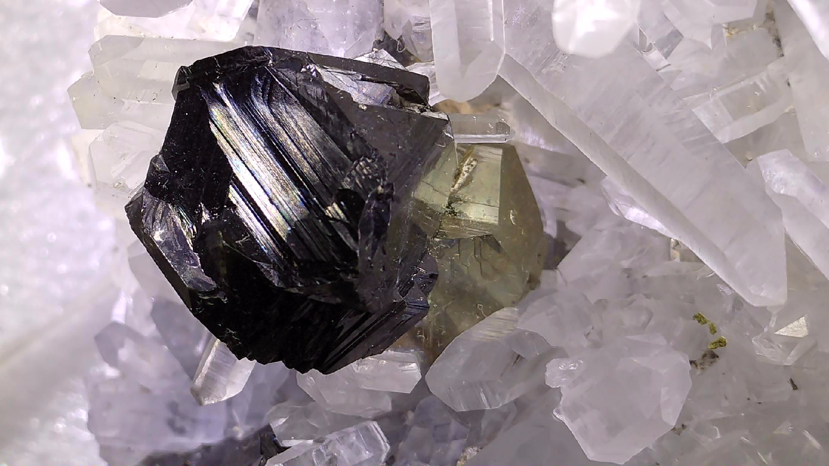 SPHALERITE, CHALCOPYRITE, QUARTZ, MANGANOCALCITE