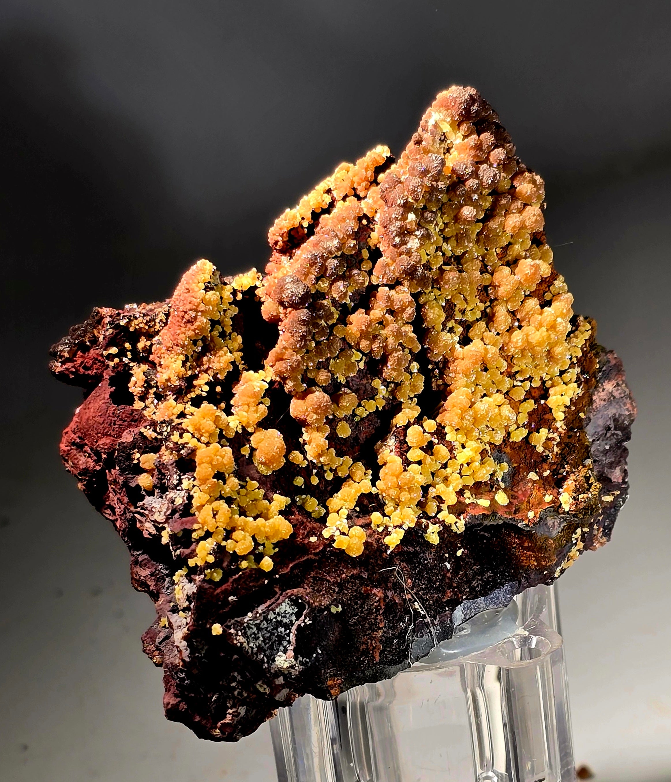 MIMETITE (small cabinet)