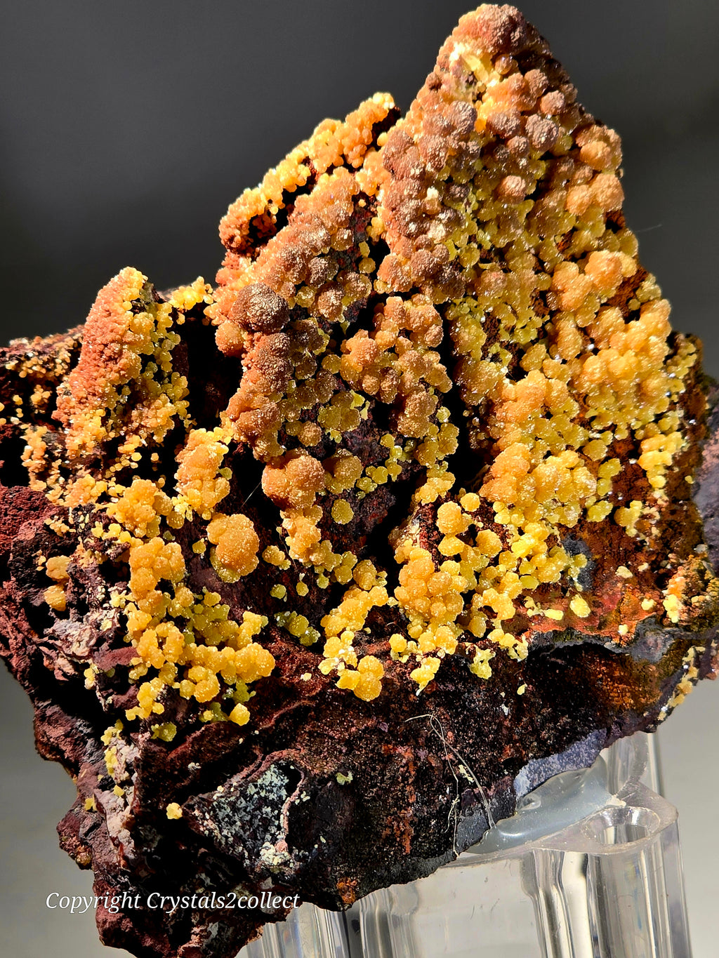 MIMETITE, MINE MINERALES MEXICANOS, NIVEAU 14, SANTA EULALIA, CHIHUAHUA, MEXIQUE (petite armoire)