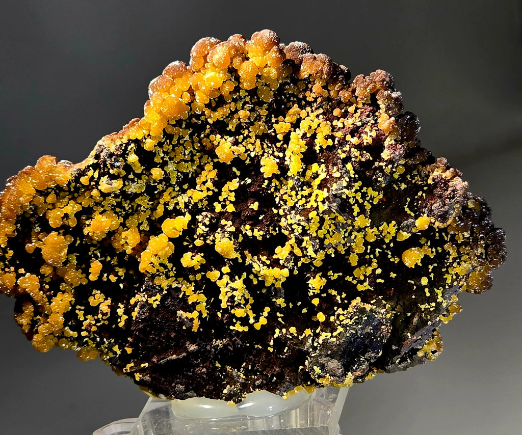 Hematite with vibrant yellow sulfur crystals, classic mineral specimen for collectors