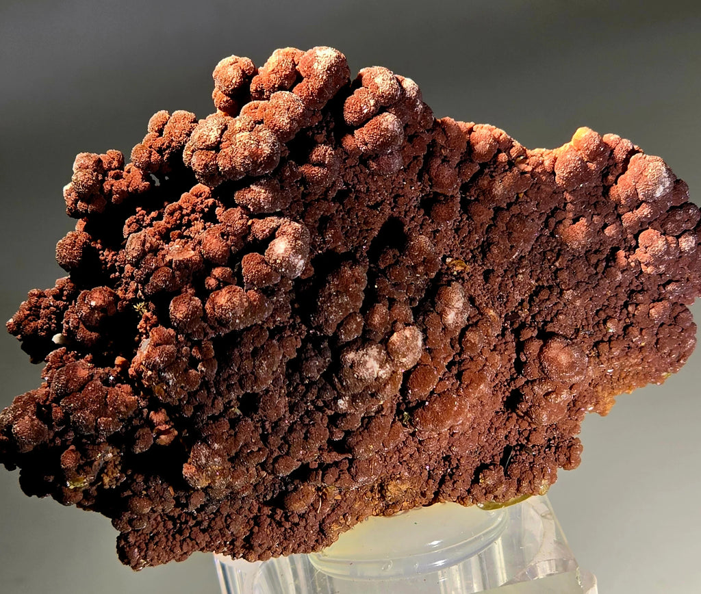 Hematite mineral specimen with botryoidal texture, rich red-brown color, displayed on clear stand