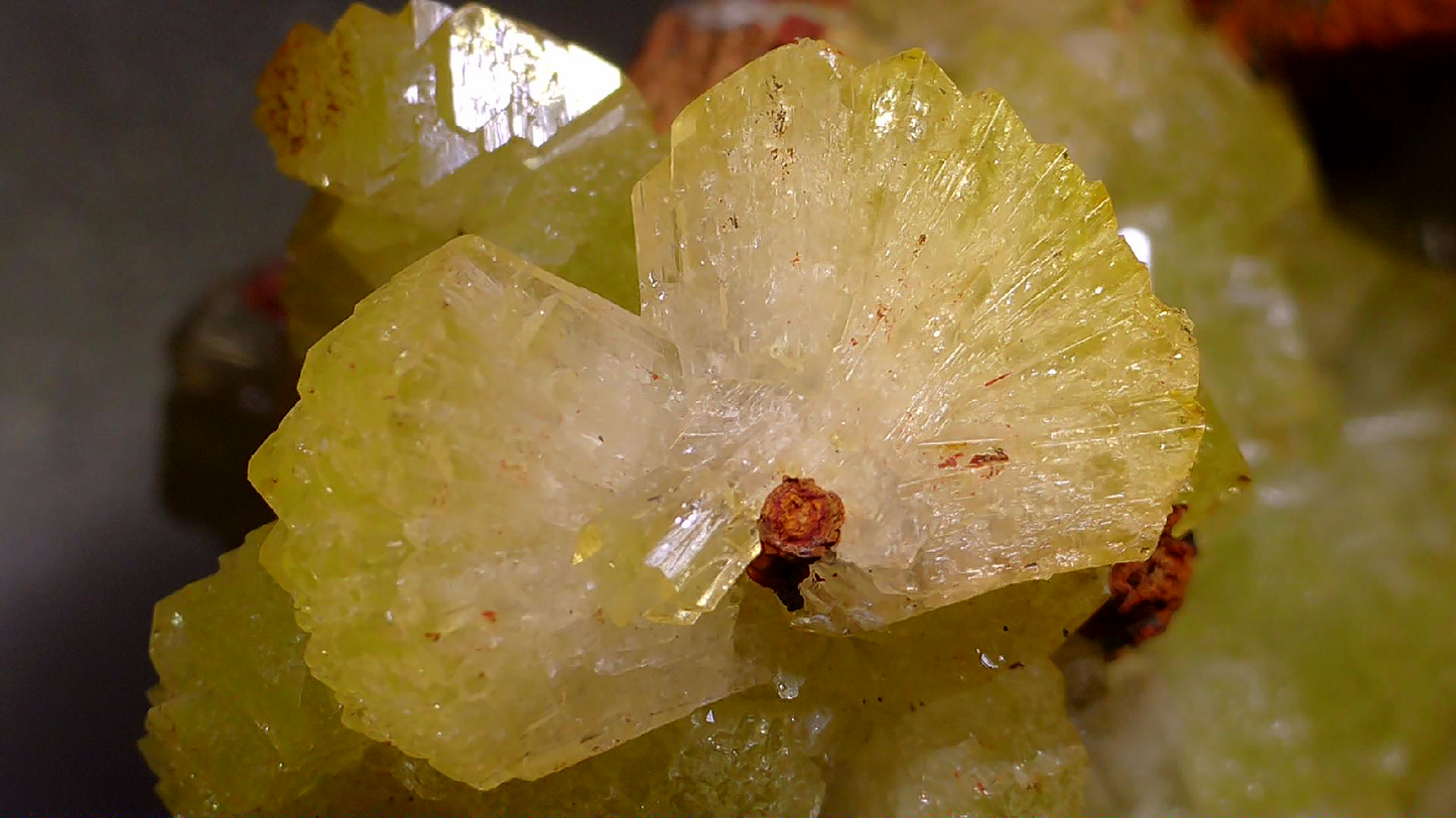 ADAMITE (miniature) VERY RICH IN CRYSTALS