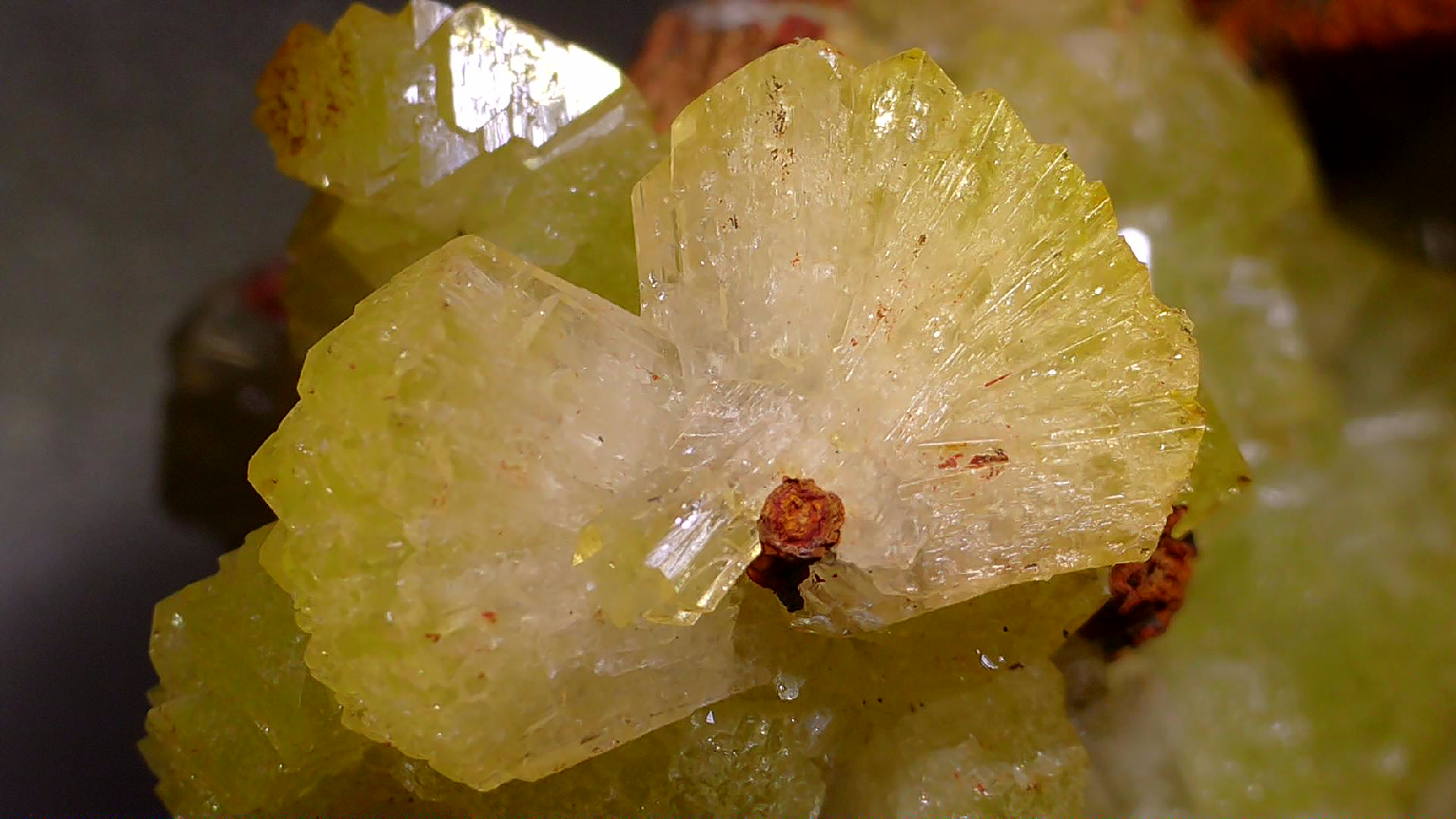 ADAMITE (miniature) VERY RICH IN CRYSTALS