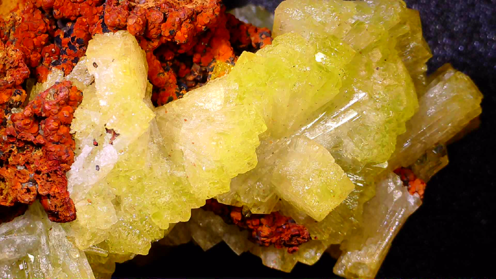 ADAMITE (miniature) VERY RICH IN CRYSTALS