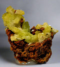ADAMITE (miniature), MAPIMI DURANGO MEXICO, VERY RICH IN CRYSTALS